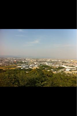 初めての観戦